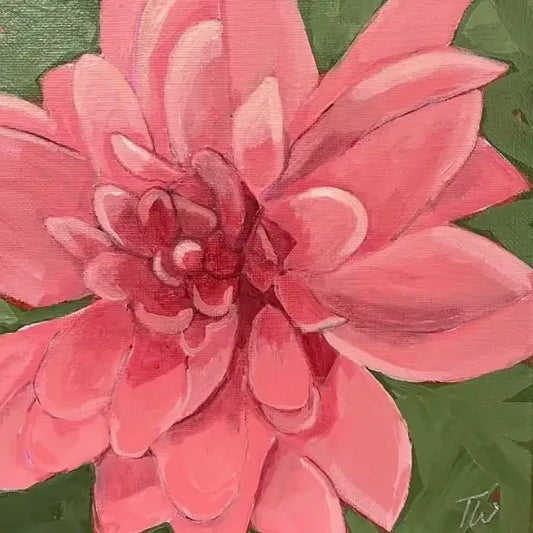 A close-up 8x8 canvas painting of a vibrant pink dahlia flower with layered petals, set against a solid green background.
