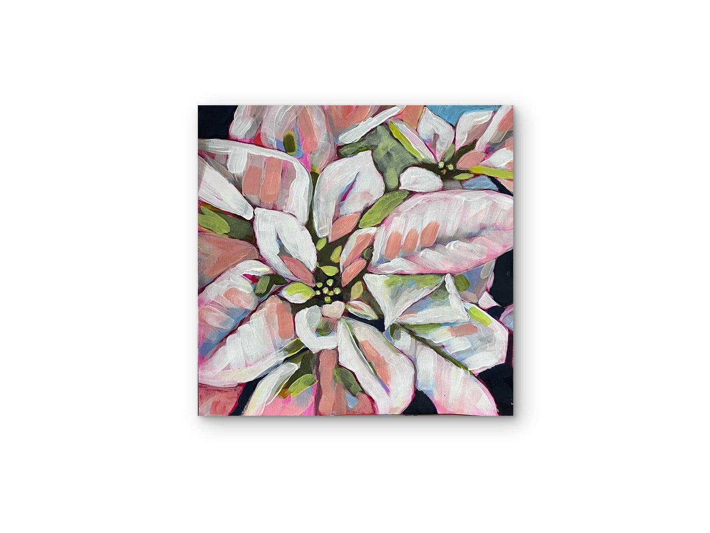 Holiday Radiance – White Poinsettia