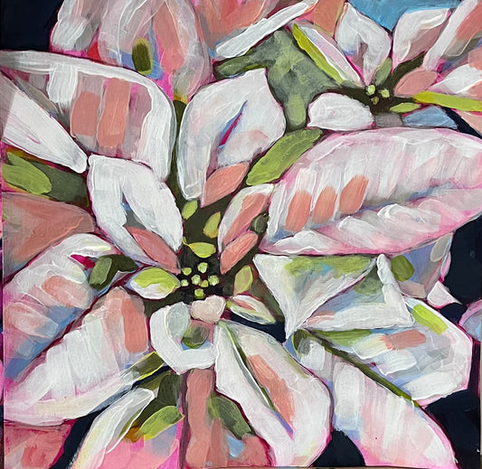 Holiday Radiance – White Poinsettia